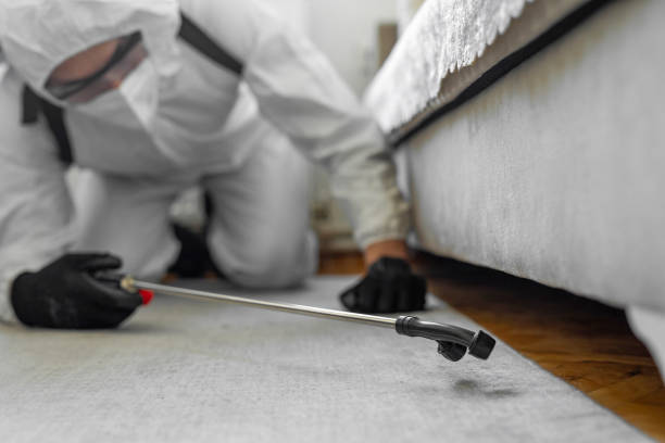Professional Termite Control technician working in Taneytown, MD