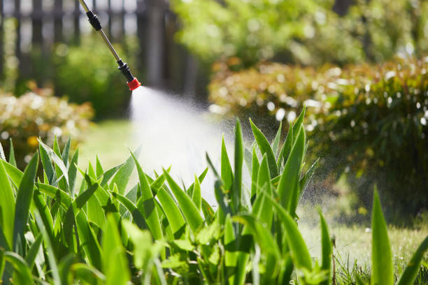 24/7 Emergency Termite Control experts in Taneytown, MD