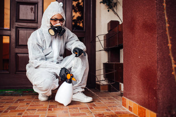 Reliable Termite Control contractor in Taneytown, MD by Nex Pest Control